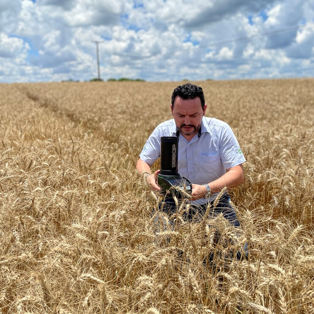 Previsão de clima úmido e geada durante o inverno preocupa agricultura