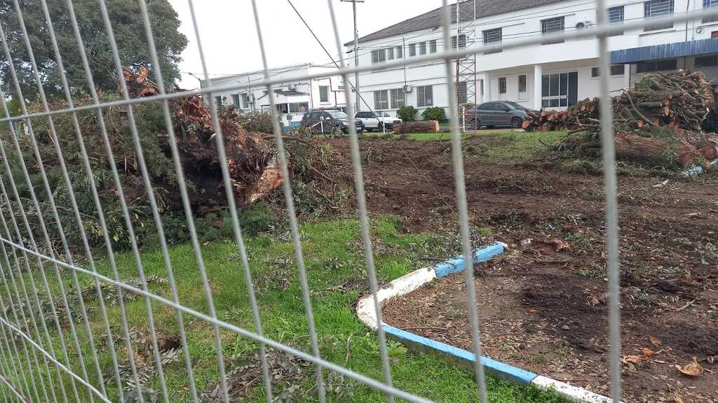 Corte de árvores em praça gera polêmica