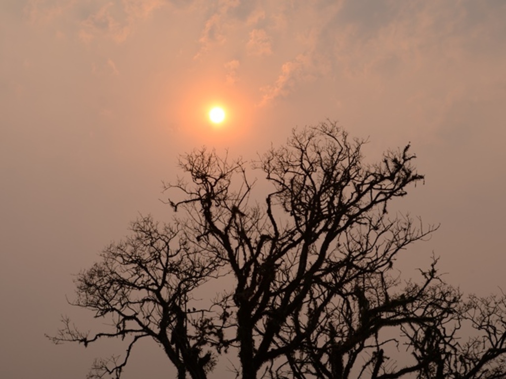 Nuances climáticos