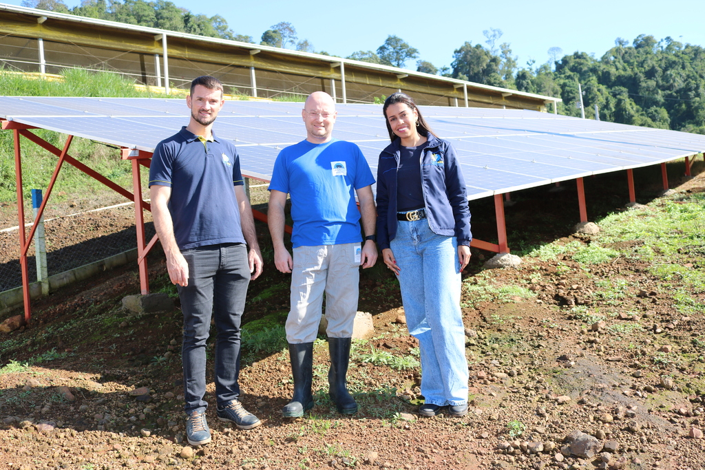 Suinocultor investe em energia solar e garante economia em várias etapas de produção