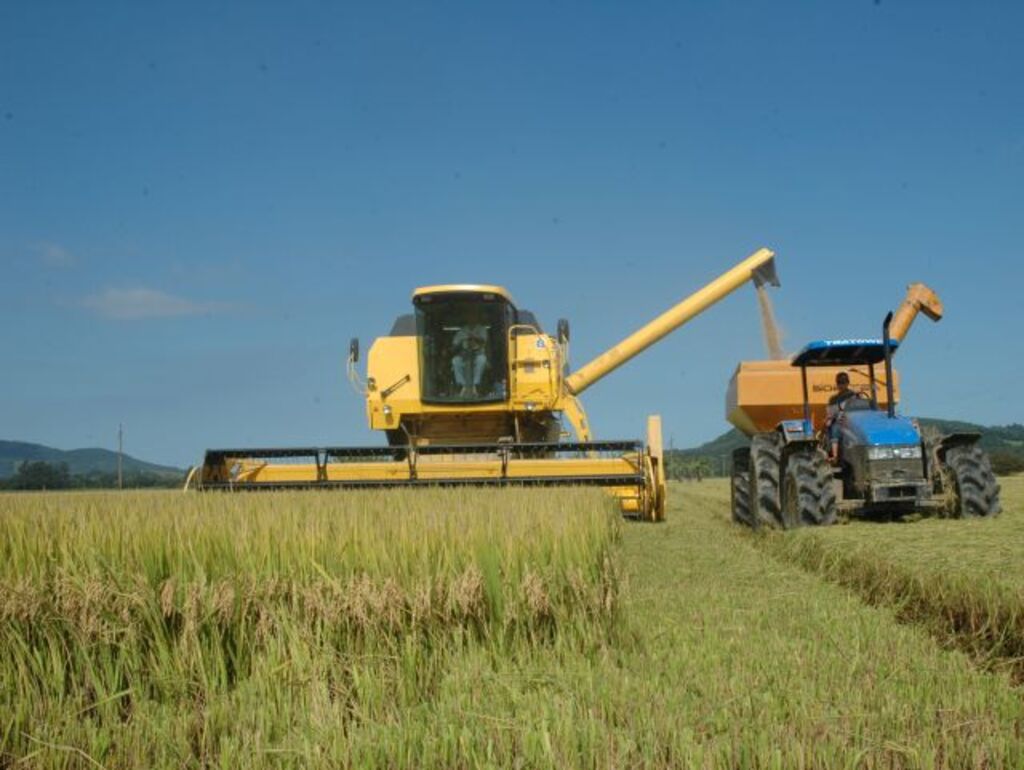 Santa Catarina registra safra recorde de arroz