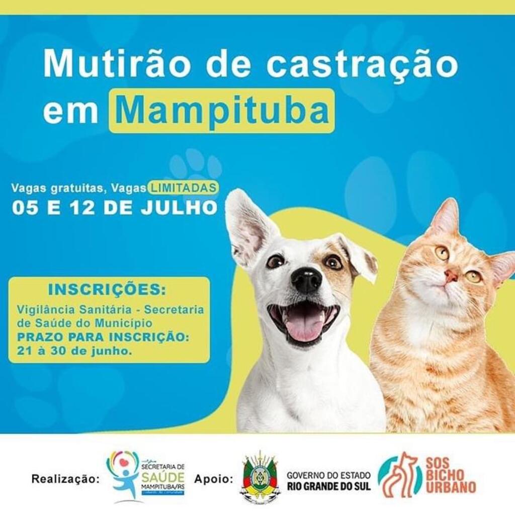 MUNICÍPIO DE MAMPITUBA PROMOVE MUTIRÃO DE CASTRAÇÃO DE CÃES E GATOS