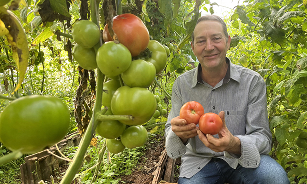  - Produtor Otto Braatz está contente com a produção de frutas e verduras