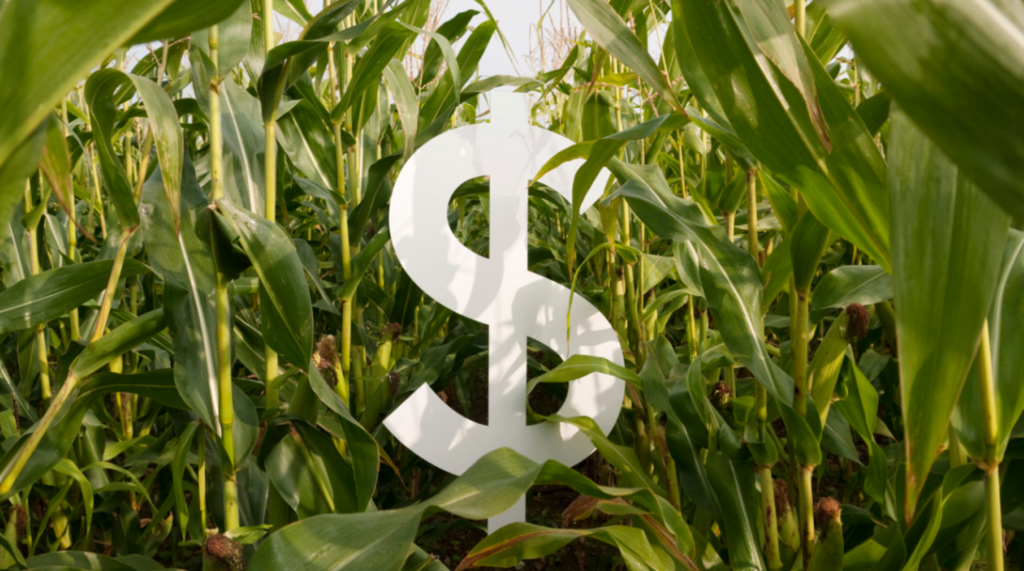 Agro tem saldo recorde até maio e supera superávit total do país em 73%