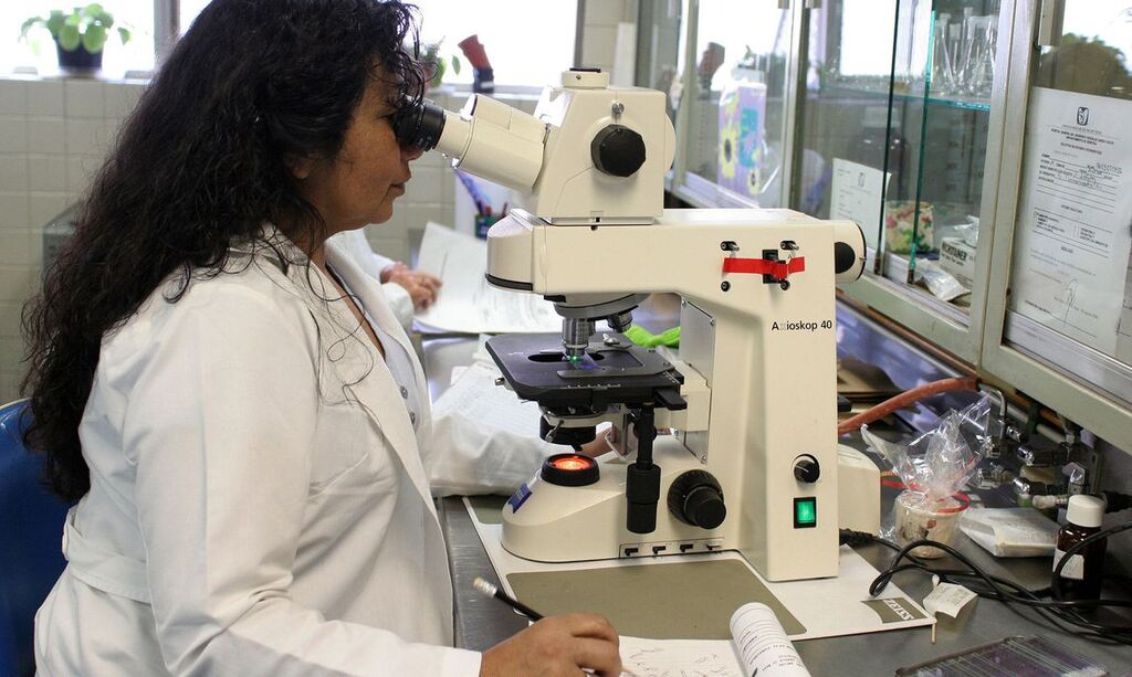 Prêmio chama atenção para desafios enfrentados por mulheres cientistas