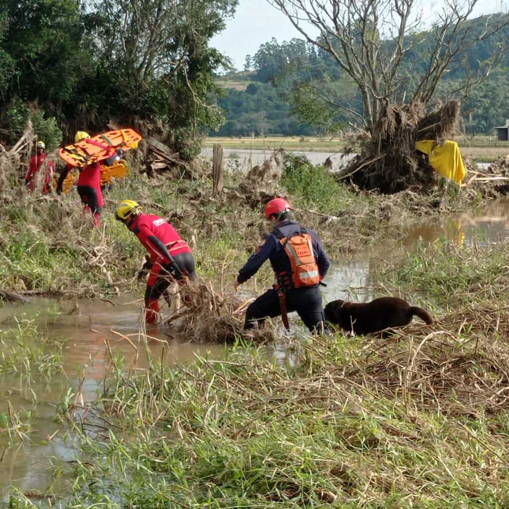Foto: Bombeiros Miliares do Rio Grande do Sul (divulgação) - O cachorro Guapo e os bombeiros militares no resgate às vítimas, no município de Caraá