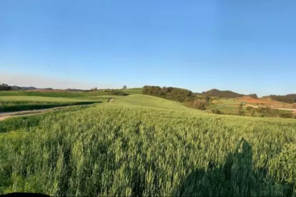 Inverno atípico deve impactar agricultura em SC