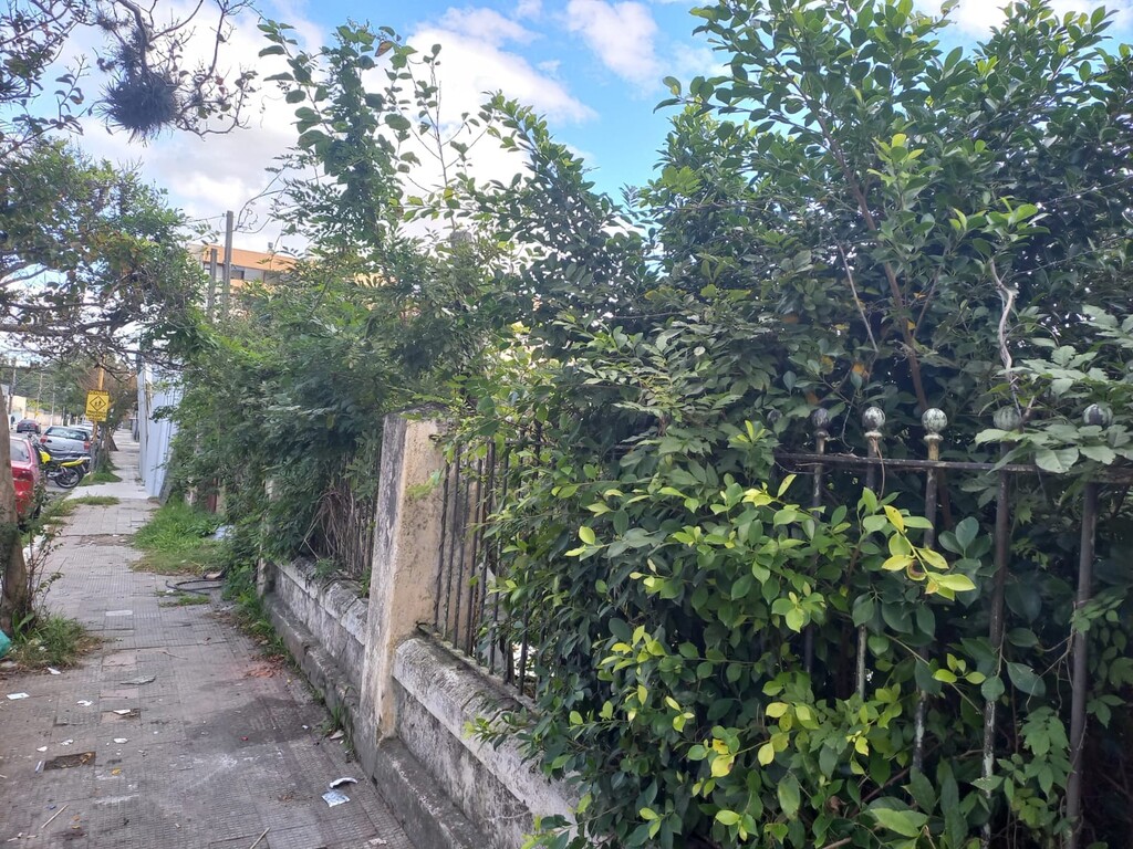 Foto: Divulgação - DP - 