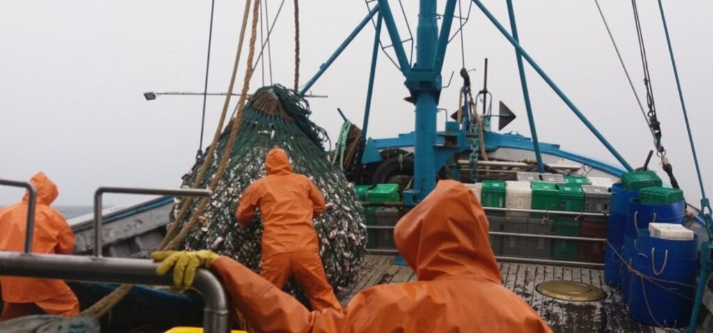 BRDE participa da ExpoMAR 2023: maior Feira de Pesca, Maricultura e Logística