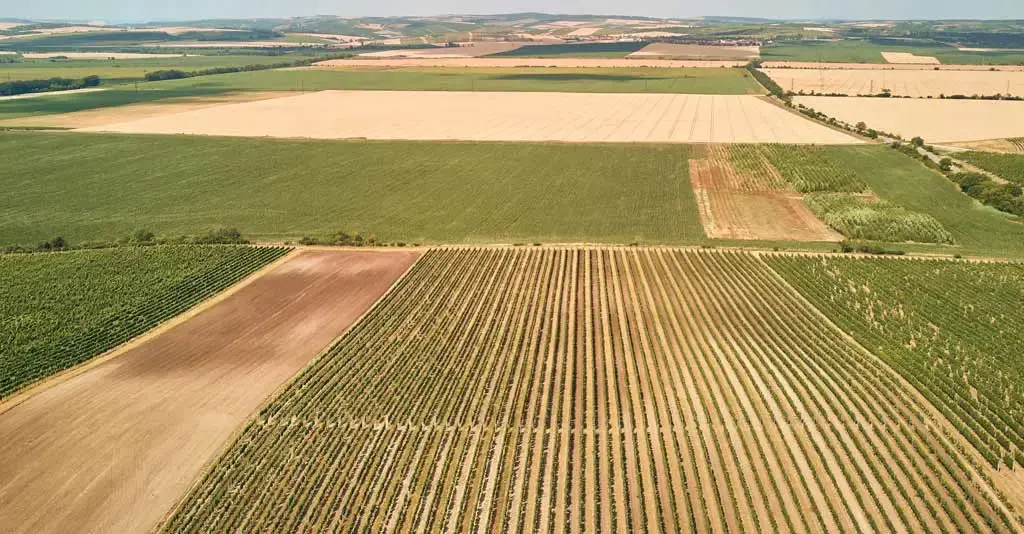 Instituto Agro - A agricultura empresarial contará com R$ 139 bilhões.