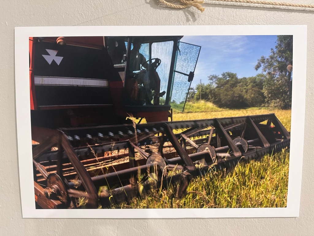 Exposição fotográfica Rota do Arroz reúne comunidade em museu de Morro Grande