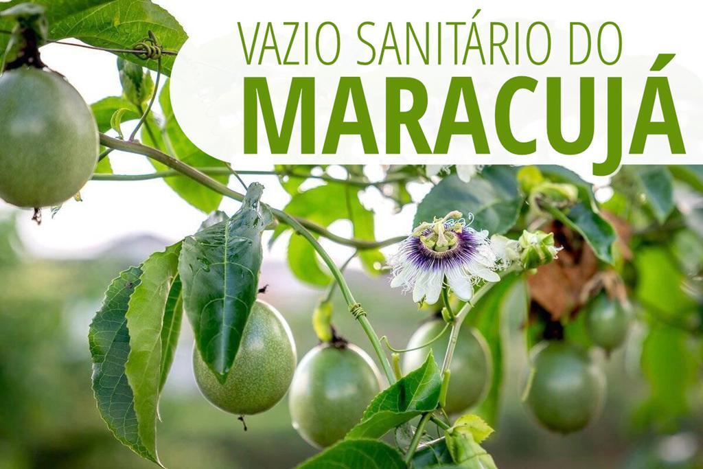 VAZIO SANITÁRIO DO MARACUJÁ VAI DE 01 A 31 DE JULHO NOS MUNICÍPIOS DO LITORAL NORTE DO RIO GRANDE DO SUL
