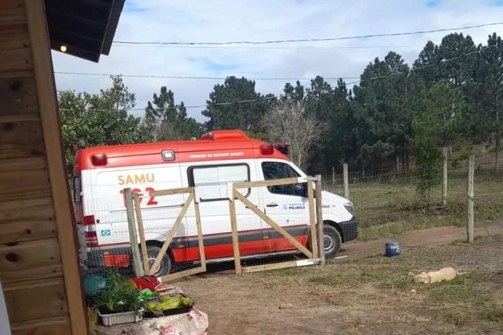  - Homem é hospitalizado após receber 450 ferroadas em SC; dois cães morrem — Foto: Joyce Gabrielle/Arquivo pessoal