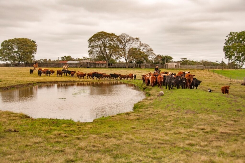 Fernando Dias/JC - Estado credita redução à Operação Agro-Hórus e ações das Decrabs.