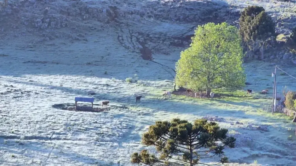 ATENÇÃO: ciclone, frio intenso e neve em Santa Catarina nos próximos dias -  Encantos de Santa Catarina