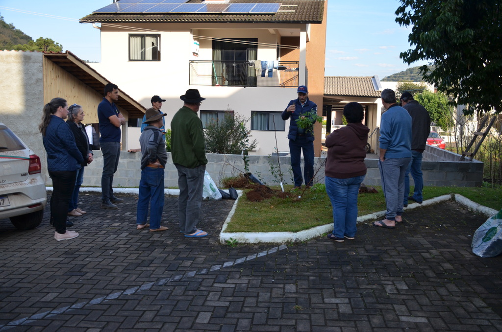 Entrega de mudas frutíferas