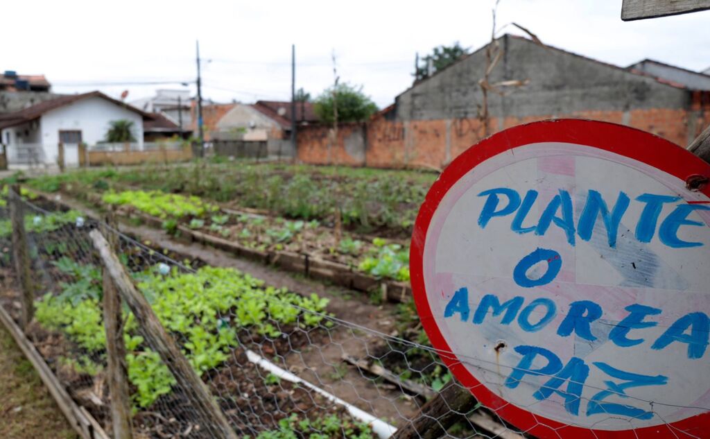 Joinville promove prática da horticultura com programa de incentivo às hortas comunitárias