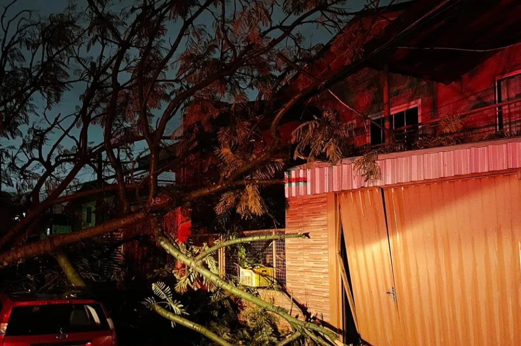  - Queda de árvore atinge casa e carro em Chapecó, no Oeste — Foto: Defesa Civil de Chapecó/Divulgação