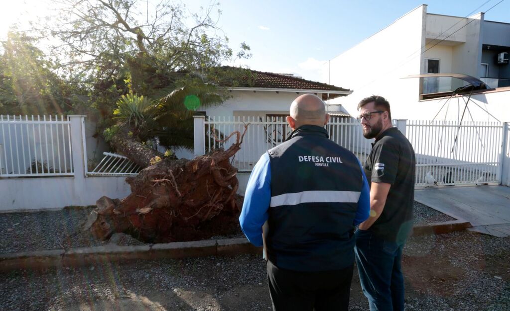 Ventos fortes em Joinville: quedas de árvores e casas destelhadas