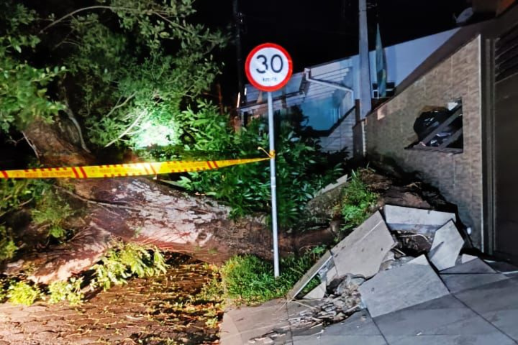 Queda de árvore causa obstrução em rua de Vila Santo Antônio