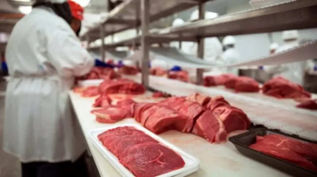 Exportações catarinenses de carne suína batem recorde histórico para o semestre