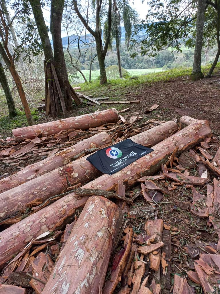 Polícia Militar Ambiental apreendeu madeira serrada de pinheiro no interior de Anita Garibaldi