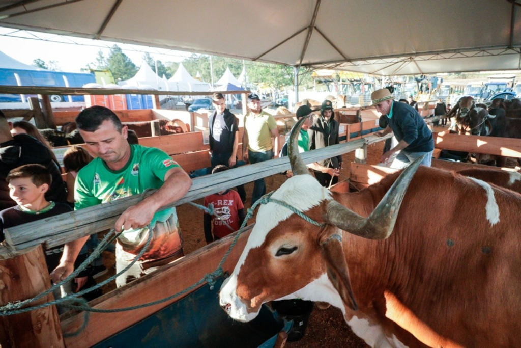 Shows nacionais, cultura e gastronomia são atrações da 30ª Festa do Colono de Maracajá