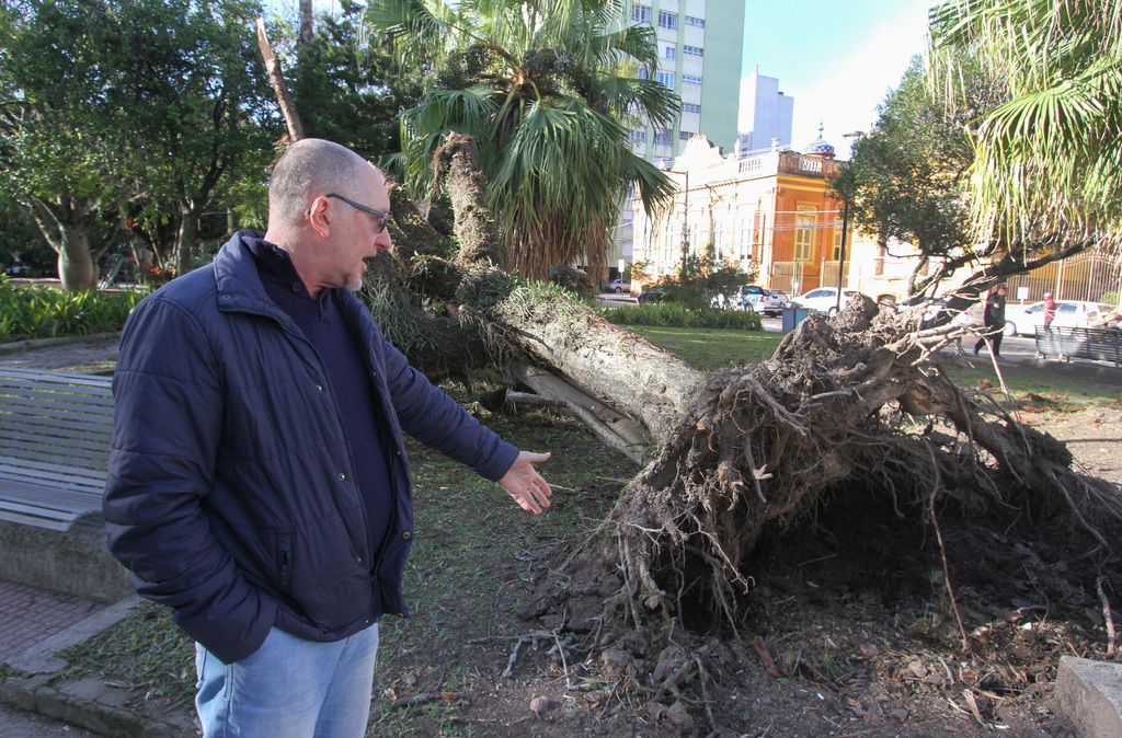 Foto: Carlos Queiroz - DP - Com o solo molhado, as raízes tendem a apodrecer