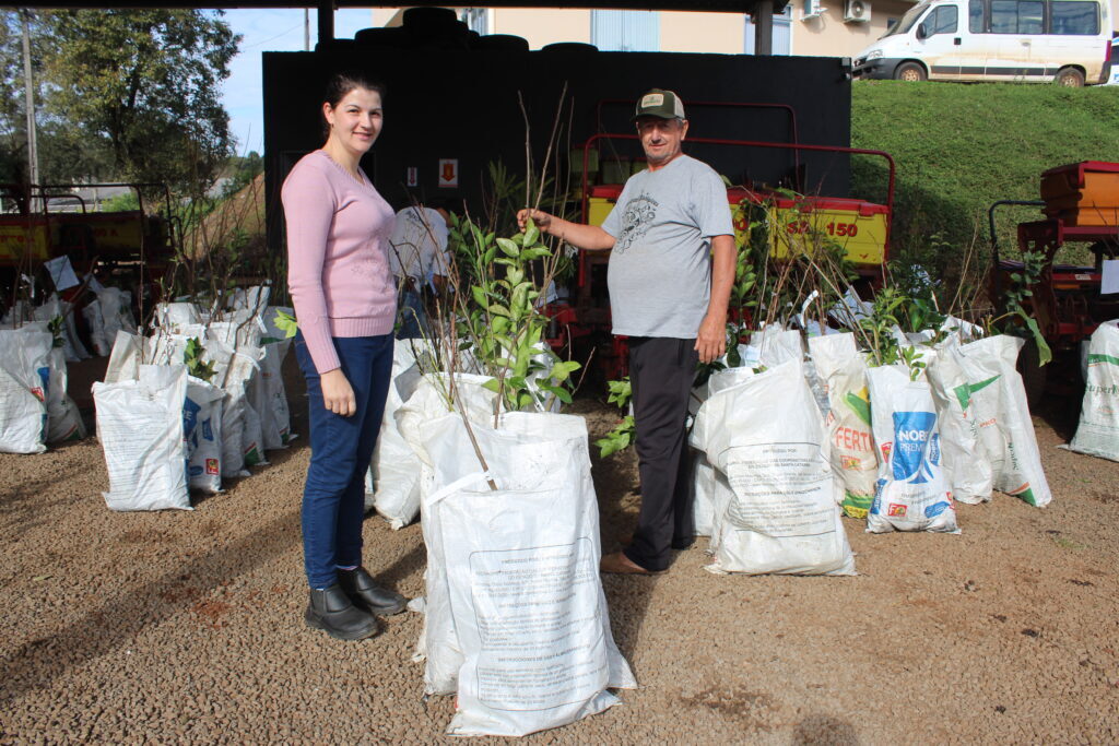 Entrega de mudas frutíferas e ornamentais