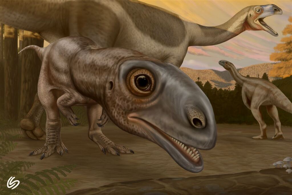 título imagem Pesquisadores da UFSM descobrem fóssil de dinossauro “jovem” junto a outro escavado há 25 anos no RS