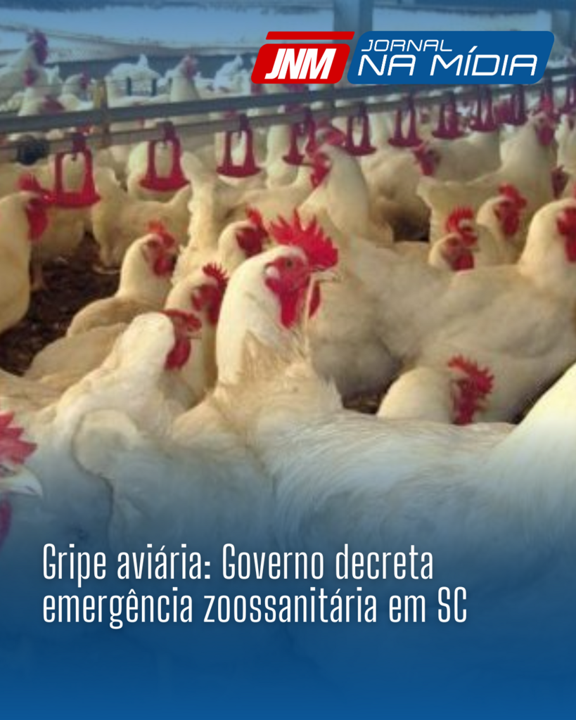 Gripe aviária: Governo decreta emergência zoossanitária em SC