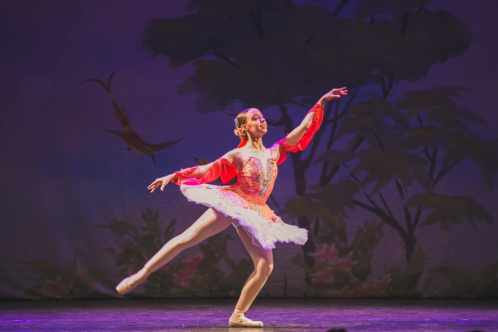 São Francisco do Sul  assiste 'Noite de Gala do Festival de Dança de Joinville' patrocinado pela ArcelorMittal