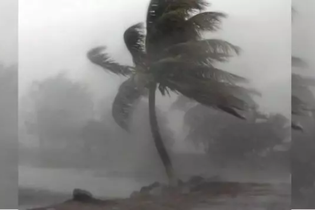  - Meteorologista prevê ciclone feroz em Santa Catarina em agosto  – Foto: Divulgação/Inmet