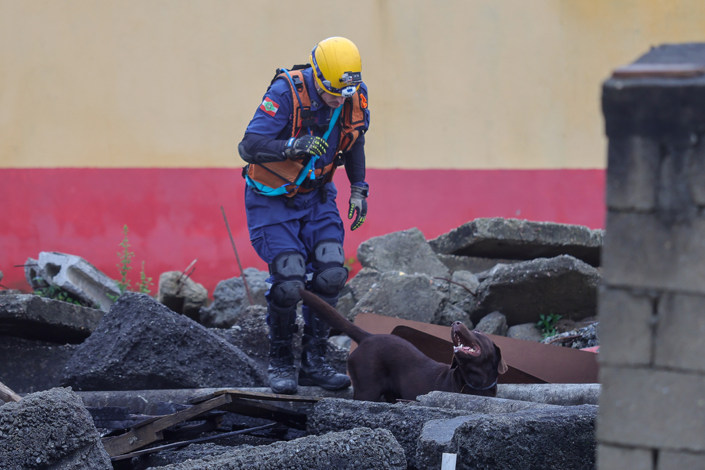 Corpo de Bombeiro certifica cães para buscas em área urbana
