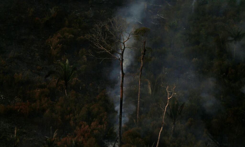 título imagem Brasil teve 2,15 milhões de hectares queimados no primeiro semestre
