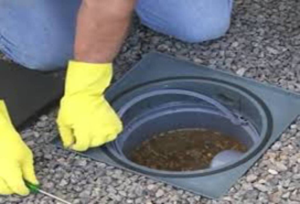 Águas de São Francisco do Sul orienta para que moradores mantenham a caixa de gordura limpa