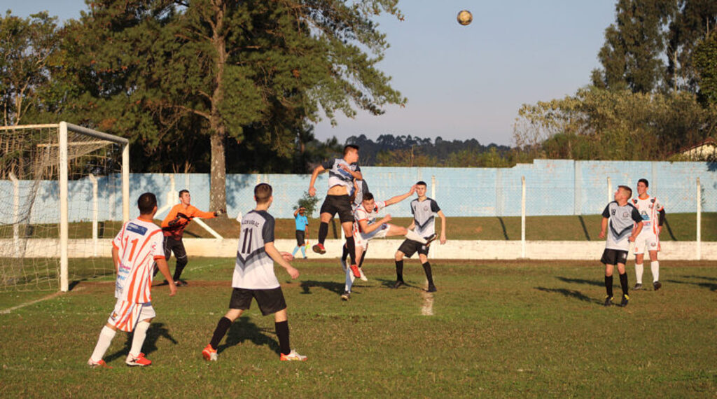 Divulgação - 