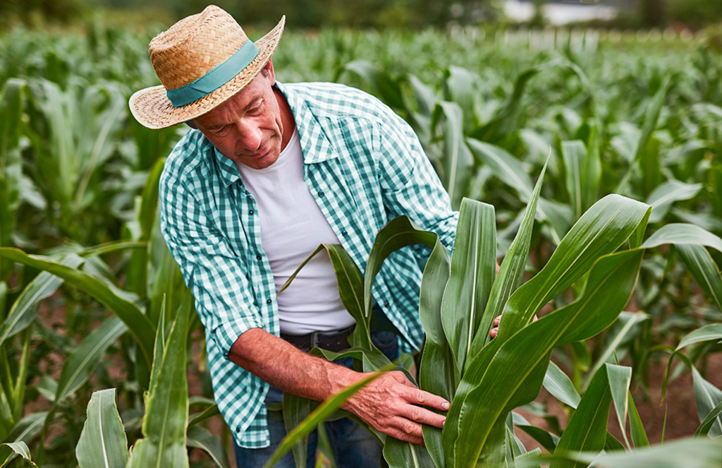 SICOOB IMPULSIONA O AGRONEGÓCIO BRASILEIRO COM SOLUÇÕES FINANCEIRAS SUSTENTÁVEIS
