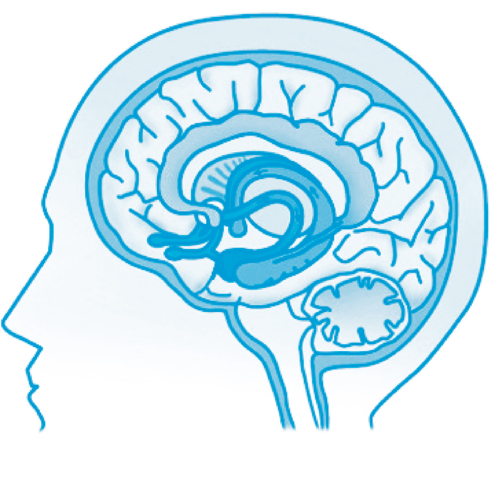 Aproximadamente duas em cada cem pessoas têm transtorno bipolar