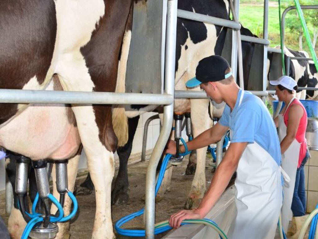 Divulgação/Epagri - 