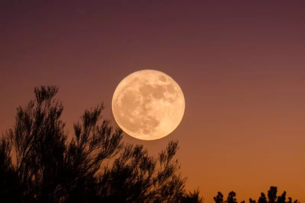  - Superlua iluminará duas vezes o céu em agosto – Foto: Unsplash/Divulgação/ND