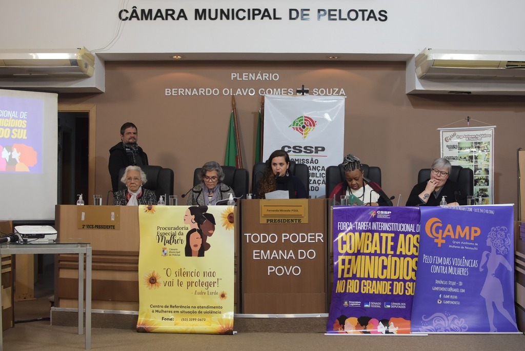 Foto: Gabriel Xavier - Câmara de Vereadores - Debate foi proposto pela Procuradoria Especial da Mulher da Câmara