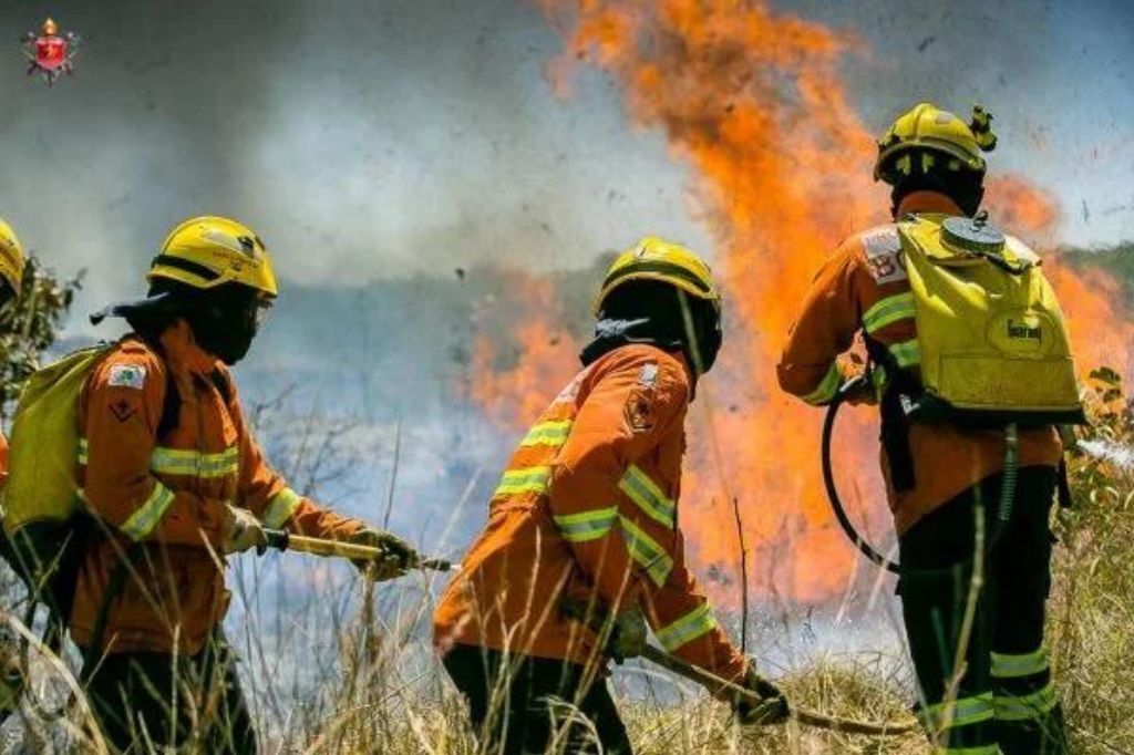 Bombeiros combatem fogo do mato na fazenda São Paulo, em Imaruí