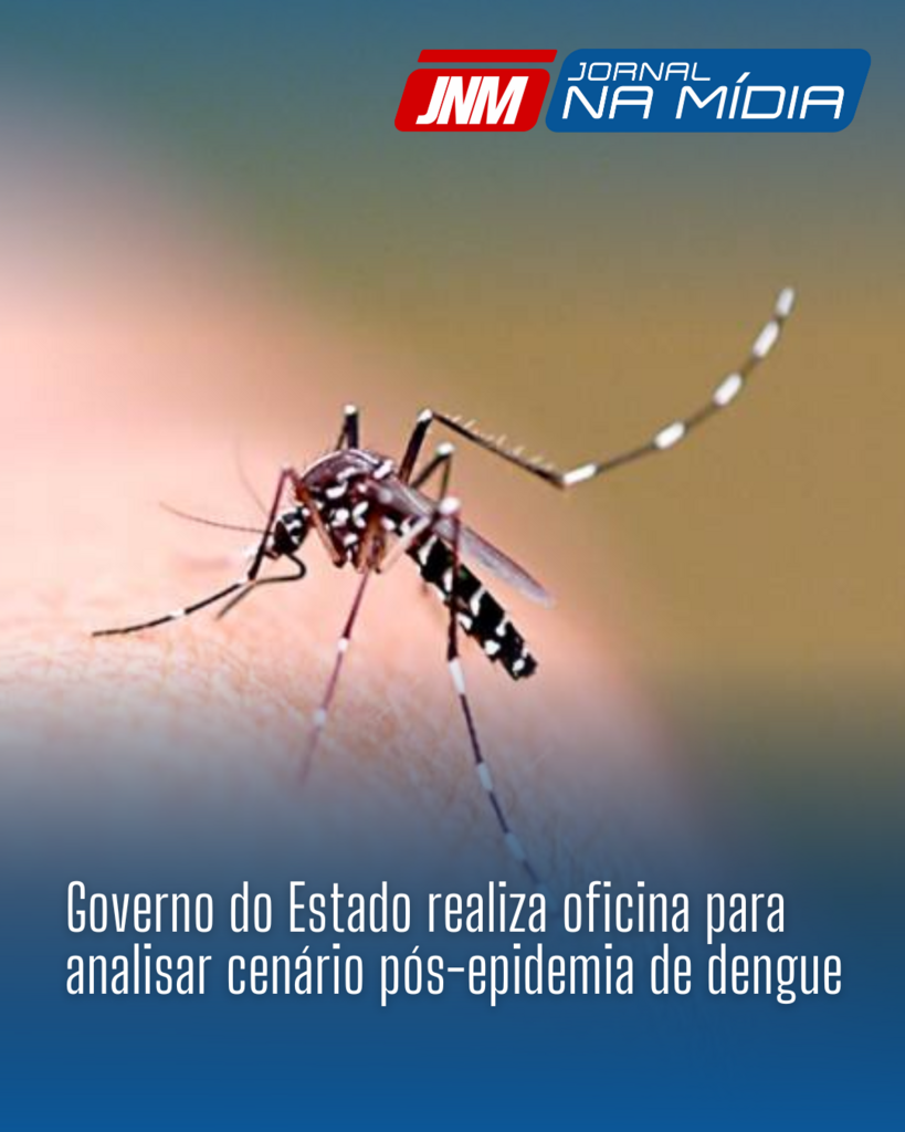 Governo do Estado realiza oficina para analisar cenário pós-epidemia de dengue