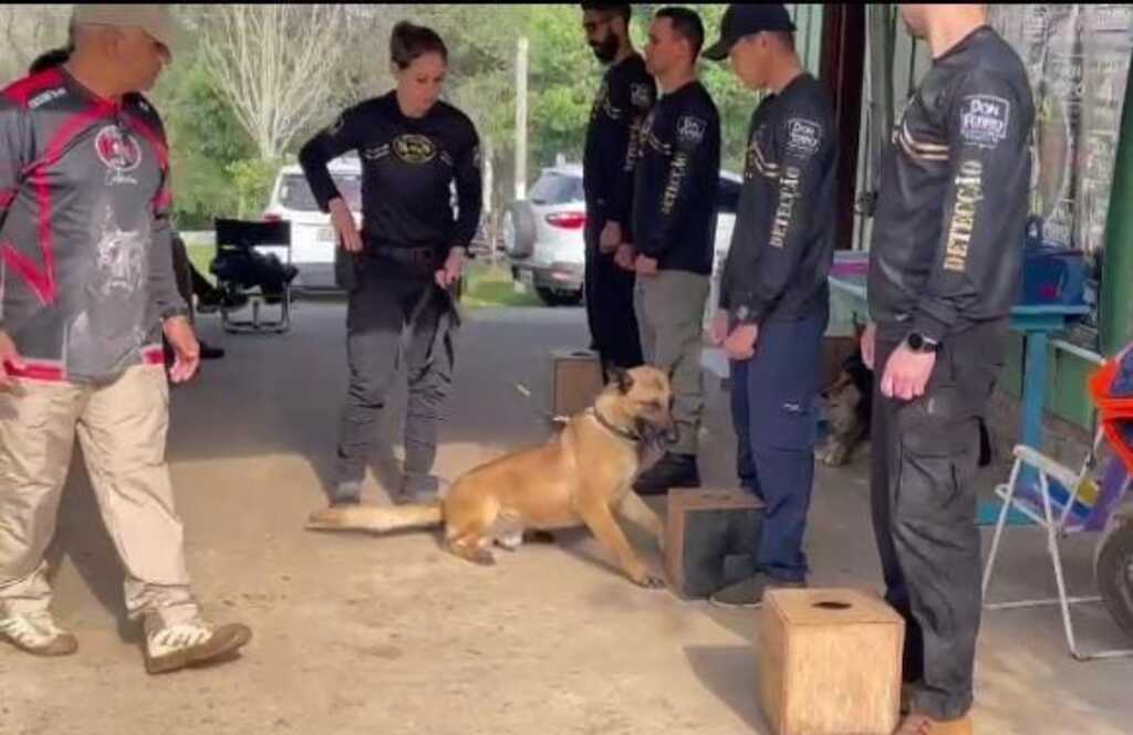 Cão Arco foi atração de curso de farejadores