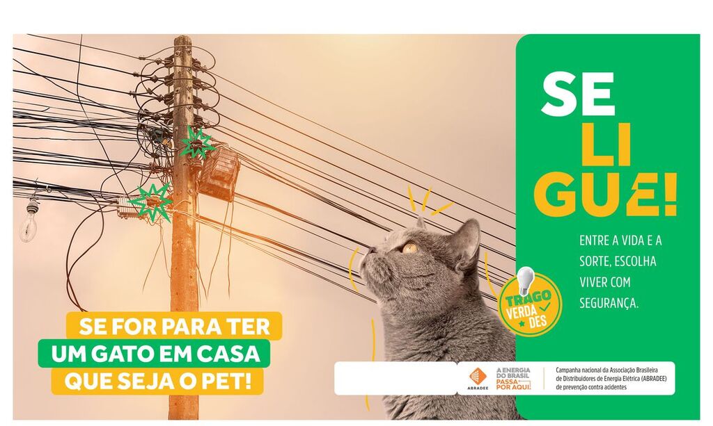 AGOSTO VERMELHO BUSCA CONSCIENTIZAR SOBRE ACIDENTES COM REDE ELÉTRICA