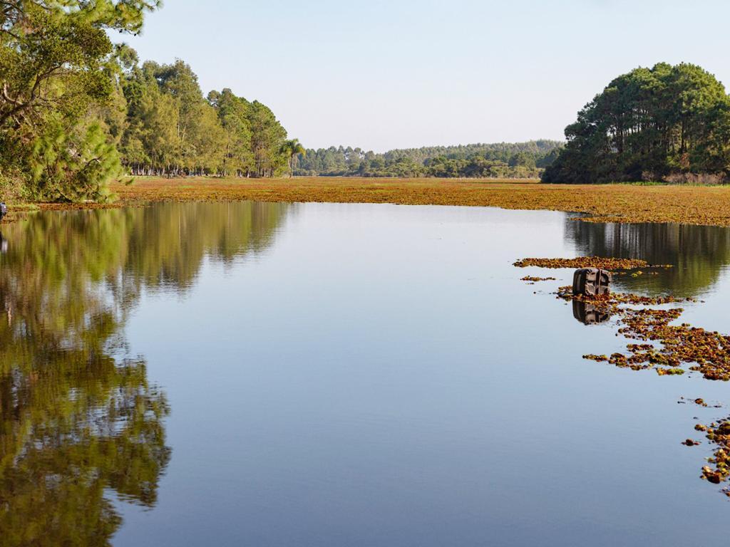 ADMINISTRAÇÃO MUNICIPAL DE PASSO DE TORRES  REALIZA A LIMPEZA 
DA LAGOA DA TAPERA