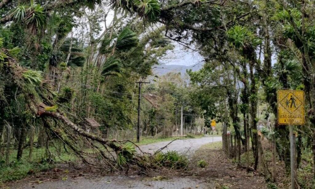 Defesa Civil atende ocorrências por conta de vendavais