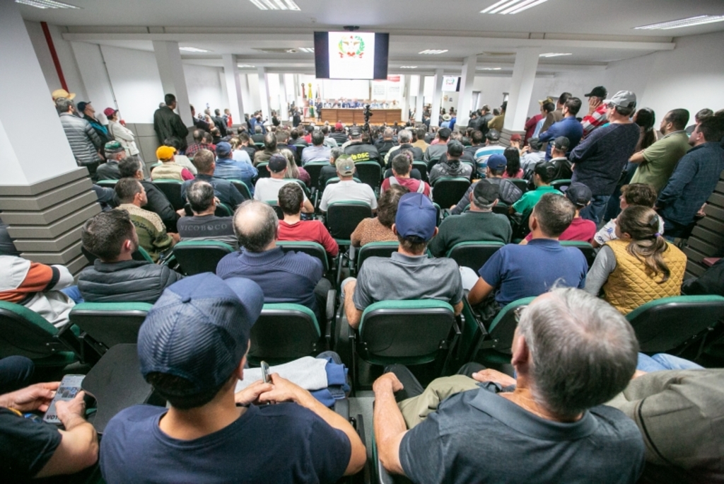 Produtores de leite pedem solução para problemas enfrentados pelo setor