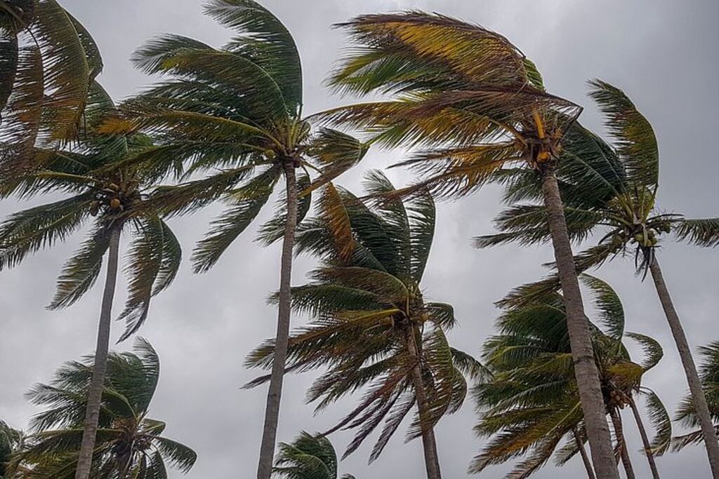 Efeitos do fenômeno El Niño aparecem em Santa Catarina